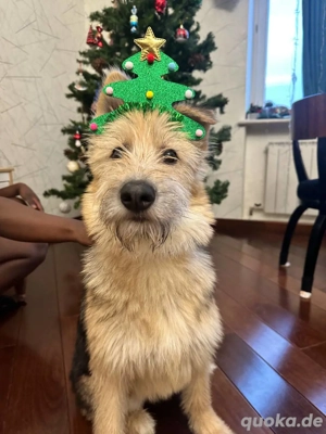 Lustige Jersey verzaubert alle