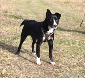 Mike sucht Traumzuhause 