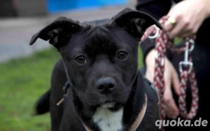 Nadel im Heuhaufen für soziale und freundliche Coffee gesucht