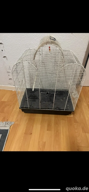 vögel käfig 