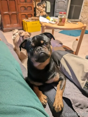 Deckrüde Retro Mops 