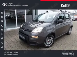 Fiat Panda 1.0 Mild-Hybrid Klimaanlage Bluetooth DAB