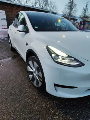 Tesla Model Y Model Y RWD