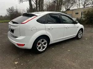 Ford Focus Focus 1.6 16V Viva I