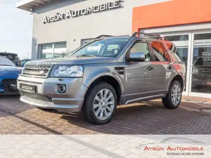 Land Rover Freelander SD4 SE Dynamic *Xenon*Kamera*Pano