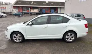 Skoda Octavia Bild 5