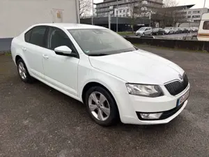 Skoda Octavia Bild 2