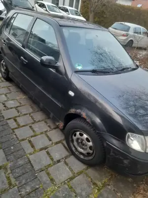 Volkswagen Polo Polo