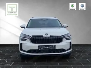 Skoda Kodiaq Selection 2,0 TDI 4x4 AHK LichtSicht 19" Bild 1