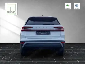 Skoda Kodiaq Selection 2,0 TDI 4x4 AHK LichtSicht 19" Bild 5