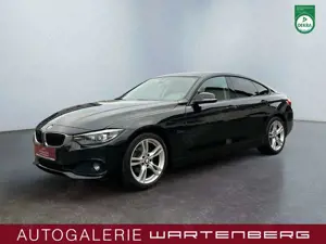 BMW 420 Advantage/NAVI BUSINESS/LED/TEMP