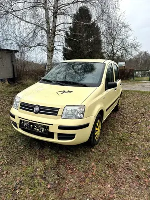 Fiat Panda 1.2 Automatik Dynamic