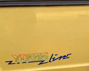 Volkswagen Golf Cabriolet Golf Cabrio Youngline Tüv NEU Bild 4