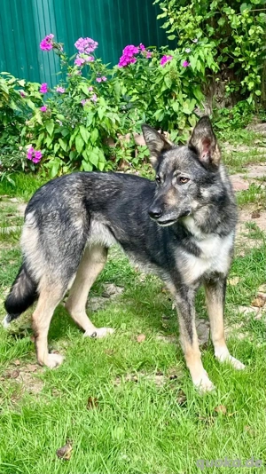 Ruhige Abi sucht ihren Platz