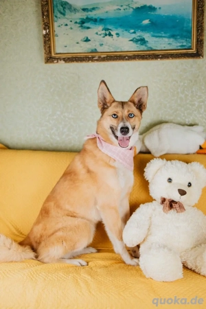 Aktive Mira sucht aktive Menschen