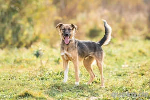 Ruhige Kara sucht ihren Endplatz