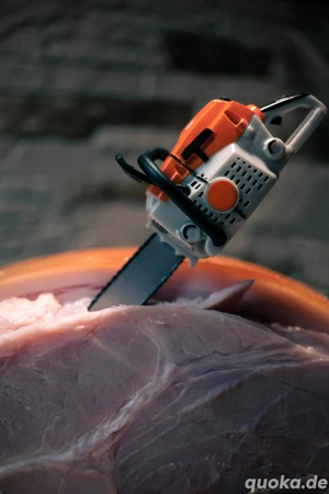 Gesuch: Motorsäge kostenlos