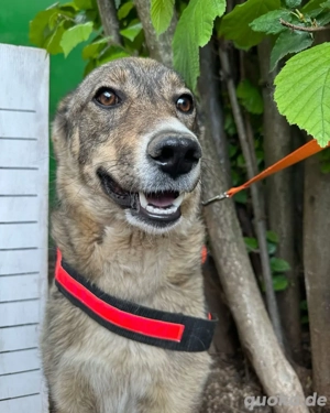 Gregosh sucht den start in das 2. leben