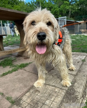 Wer möchte Zar ein Ausreiseticket schenken?