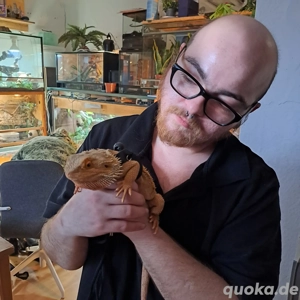 Private Reptilien-Hilfe Bild 6