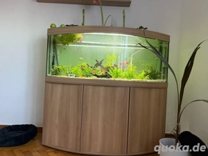 450 liter Aqwarium komplet mit schrank und led leisten 