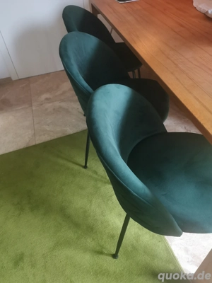 Elegante Polster-Stühle grün 