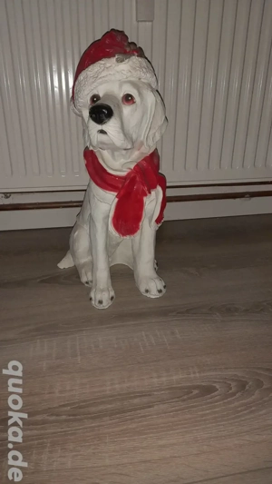 hübscher Dekohund mit Mütze