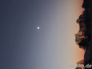 Echtes Nordlicht gerne Skandinavier gesucht