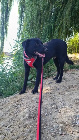 Freundlicher Justin liebt das Leben  