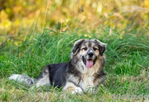 Dick sucht neue liebe Menschen  