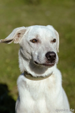 Lilit Taub durch die Welt , aber mit viel Liebe  