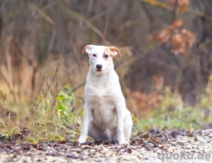 Aufgeschlossener Lord sucht aufgeschlossene Menschen