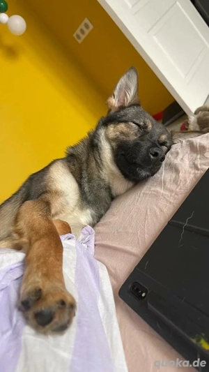 Charmante Betty sucht Familie  