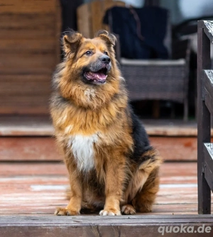 Bekommt Rakhat eine 2.Chance?!