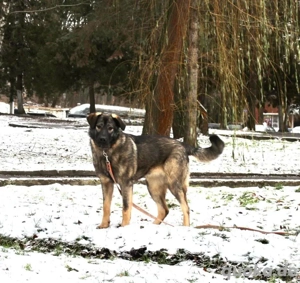 Selbstbewusste Tosya sucht aktive Menschen