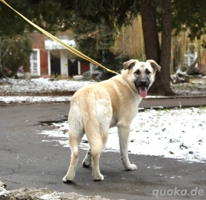 Gibst du Snezha einen warmen Platz?!