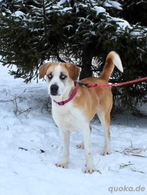 Jessie sucht ein aktives Leben