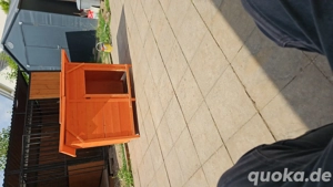 Hütte für Hunde 3 2m Bild 3