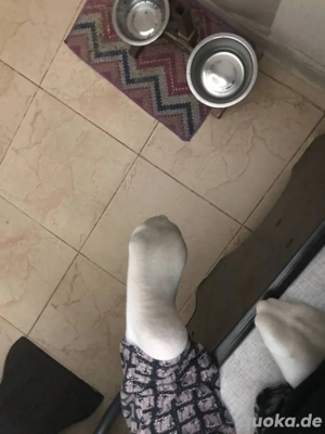 Dreckige Socken zu verkaufen