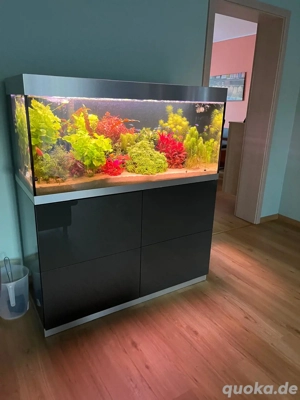 Aquarium Oase HighLine 300 mit den Maßen 115 x 50 x 56
