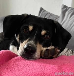 Kleiner Clown Nando sucht seine Lieblingsmenschen 