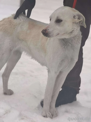 Crystal   endlich frei und bereit für Liebe