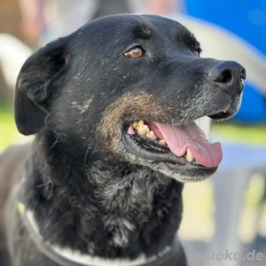 Jack *7 18 sucht einleben ohne den Shelter Bild 4
