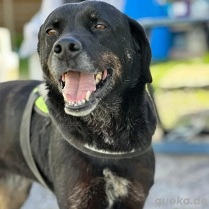 Jack *7 18 sucht einleben ohne den Shelter Bild 2