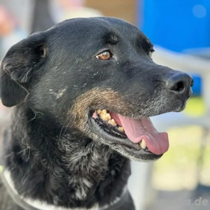 Jack *7 18 sucht einleben ohne den Shelter Bild 6