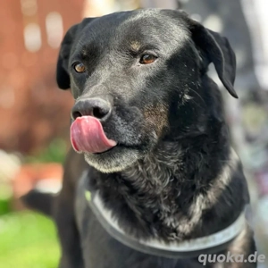 Jack *7 18 sucht einleben ohne den Shelter Bild 7