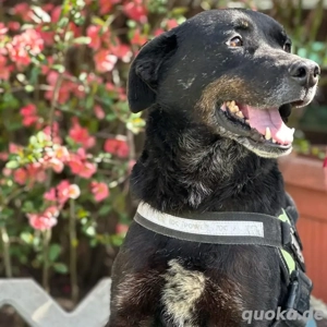 Jack *7 18 sucht einleben ohne den Shelter Bild 5