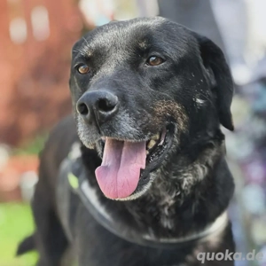 Jack *7 18 sucht einleben ohne den Shelter