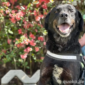 Jack *7 18 sucht einleben ohne den Shelter Bild 8