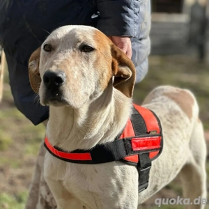 Luck 2 23 braucht seinen 2. Schutzengel